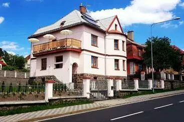 アパートホテル Vila Nejdek   Erzgebirge