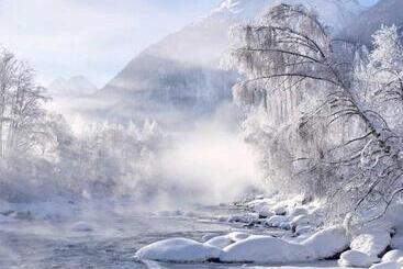 住宿加早餐  Pension Alpina