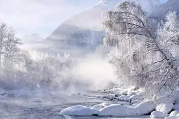 ベッドアンドブレックファースト Pension Alpina