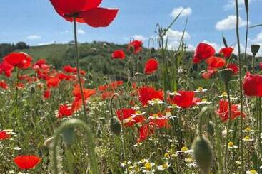 Bed and Breakfast La Casa Degli Artisti