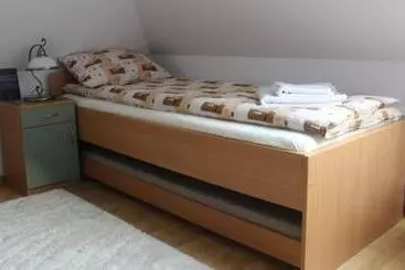 ペンション Fodor Ház
