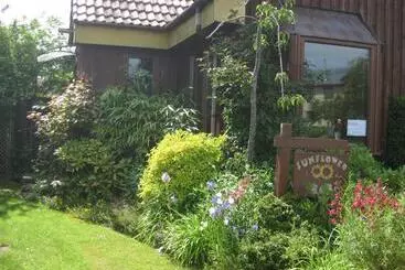 Sunflower Bed & Breakfast