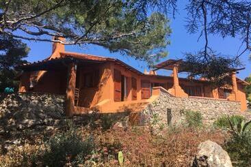 Bed and Breakfast Casa Diana