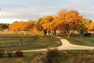 Bed and Breakfast Haras Du Vignault Le Bûcher