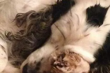 Bed and Breakfast Ma Maison De Couture