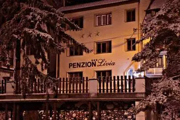 Hotel Penzionlivia,tr.teplice
