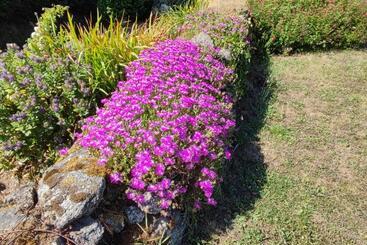 تختخواب و صبحانه Location Keransignour