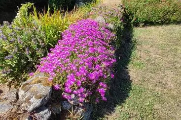 Bed and Breakfast Location Keransignour