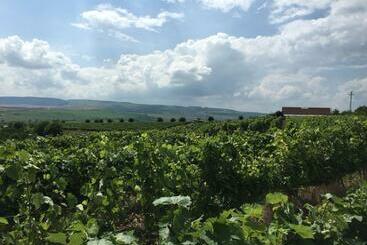 住宿加早餐  Wineyards Salin