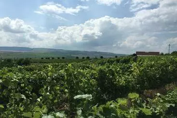 Bed and Breakfast Wineyards Salin