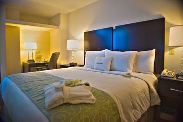 酒店 Doubletree By Hilton Panama City