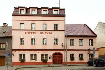 酒店 Slávie
