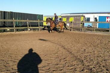 B&b Boerderij Rust, In Pipowagens!