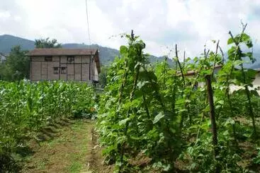ホテル Agroturismo Ondarre