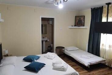 Pensjonat Delta Ca Odinioara