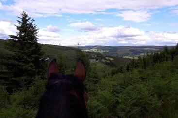 B&b Chambre D Hôtes De La Vecquée