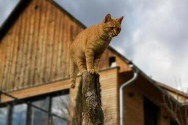 هتل Bauernhof Kure