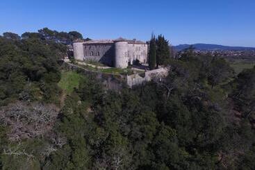 住宿加早餐  Château De Rousson
