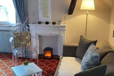 ペンション Historisches Gästehaus Au Faucon