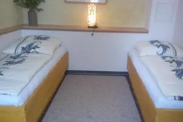 Pension Gasthaus Zum Pegel