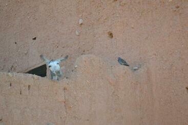 膳宿费 Citadelle Gorges