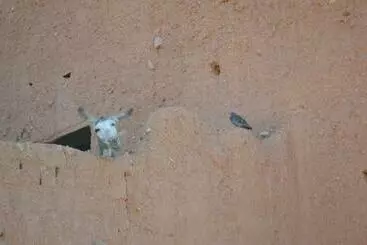 Majatalo Citadelle Gorges