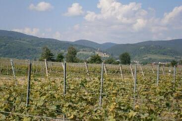 Pensjonat Gästehaus Becker