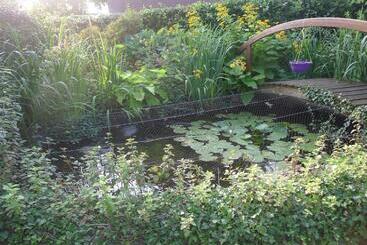 B&b De Kleine Wijngaard