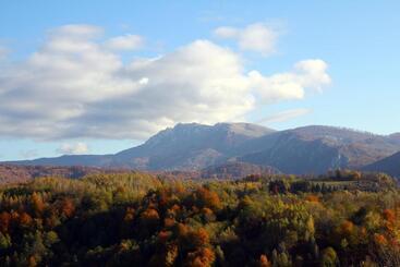 פנסיון La Conac