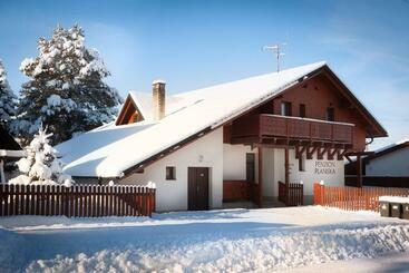 Pension Penzion Planiska