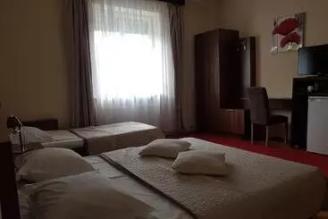 ペンション Villa Casa Ioana