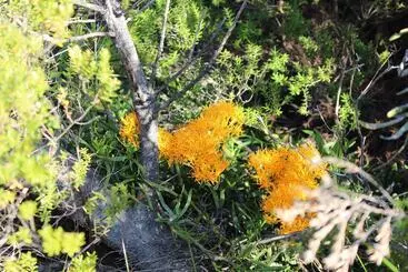 Albany Motel & Apartments