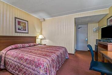 فندق Homespring Inn & Studios