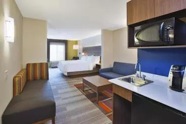 Holiday Inn Express Hotel & Suites Auburn Hills, An Ihg