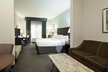 Holiday Inn Express Hotel & Suites New Iberia   Avery Island, An Ihg