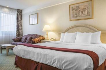 酒店 Clarion  & Conference Centre