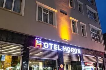 酒店 Horon