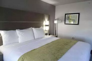 酒店 Best Western Plus Sweetwater Inn & Suites