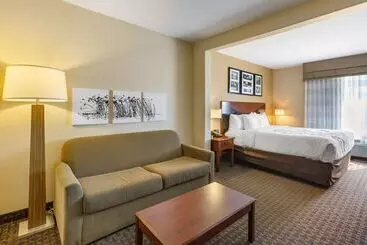ホテル Sleep Inn & Suites Idaho Falls Gateway To Yellowstone