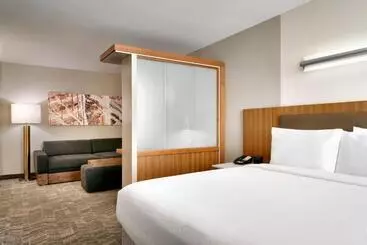 Hotel Springhill Suites By Marriott Las Vegas Convention Center