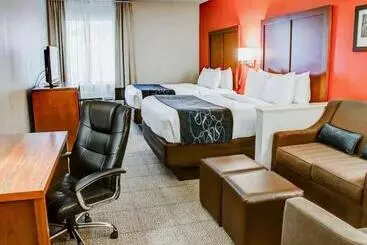 酒店 Comfort Suites Tyler South