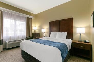 酒店 Comfort Inn & Suites Near University Of Wyoming
