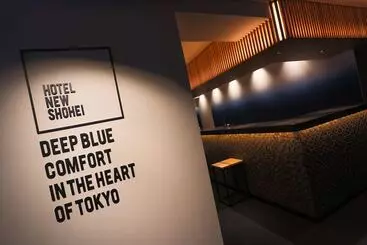 Отель New Shohei