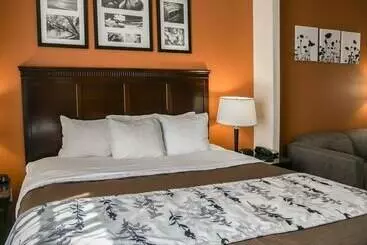 Hotel Sleep Inn & Suites Hwy 290 Nw Freeway