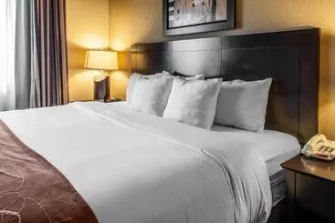 Hotel Comfort Suites