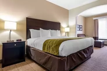 Hôtel Comfort Inn & Suites Scott West Lafayette