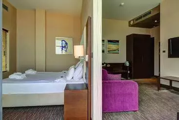 فندق Copernicus Toruń