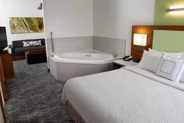 هتل آپارتمان Springhill Suites By Marriott Sioux Falls