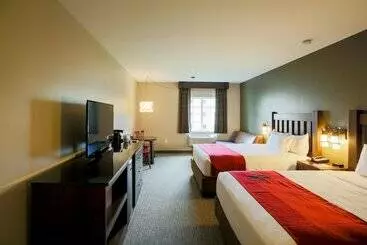 リゾートホテル Great Wolf Lodge Chicago/gurnee