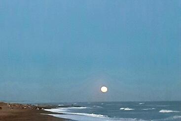 Bed & Breakfast Masia Del Viento